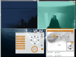 Screen Shot