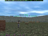 Screen Shot