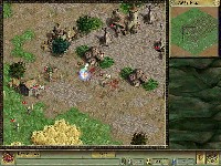 Screen Shot