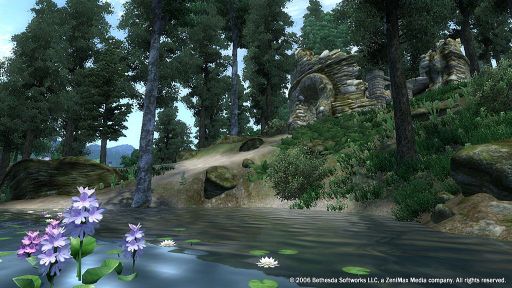 Screen Shot